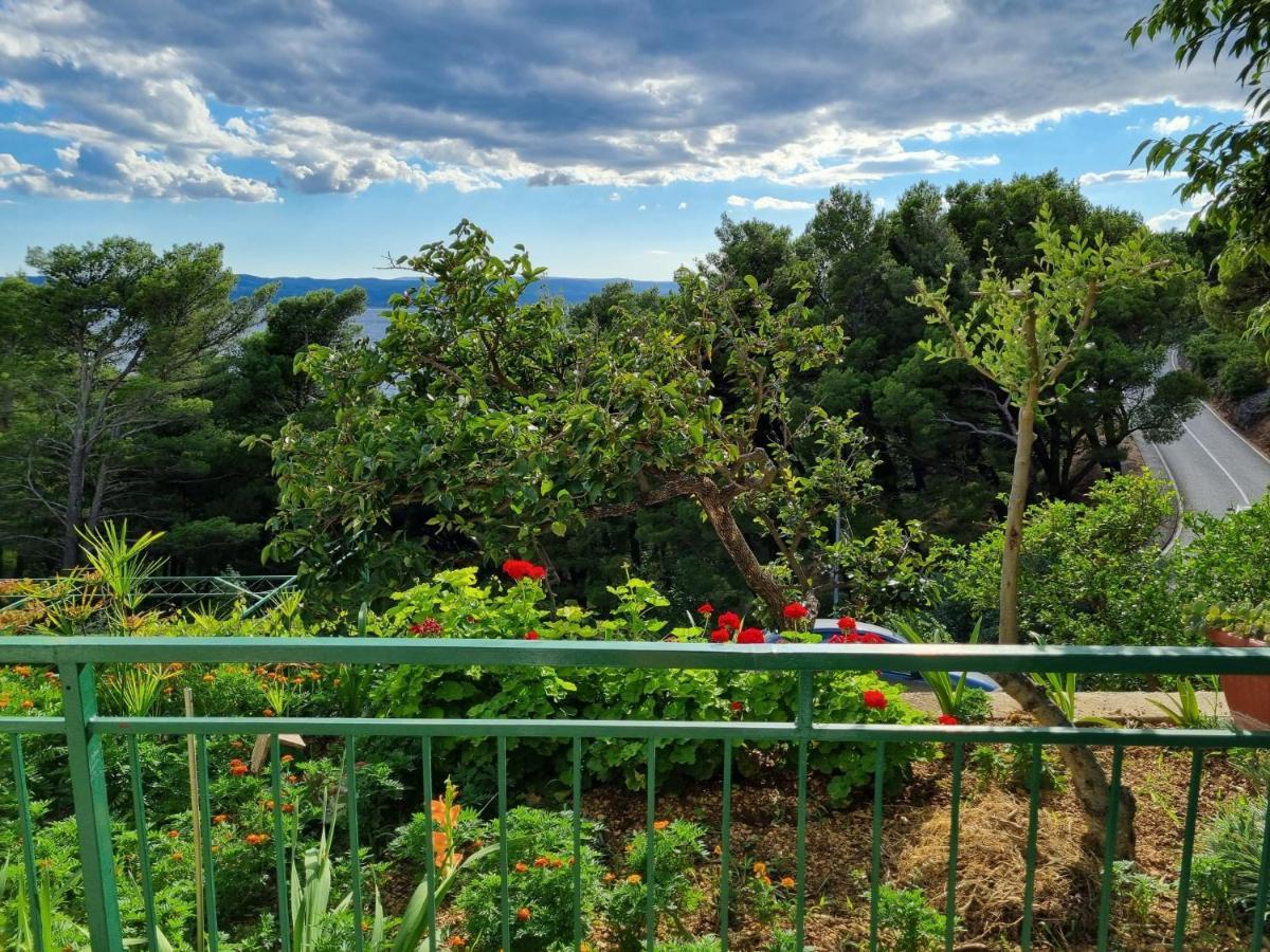 Guesthouse Dominovic Brela Bagian luar foto